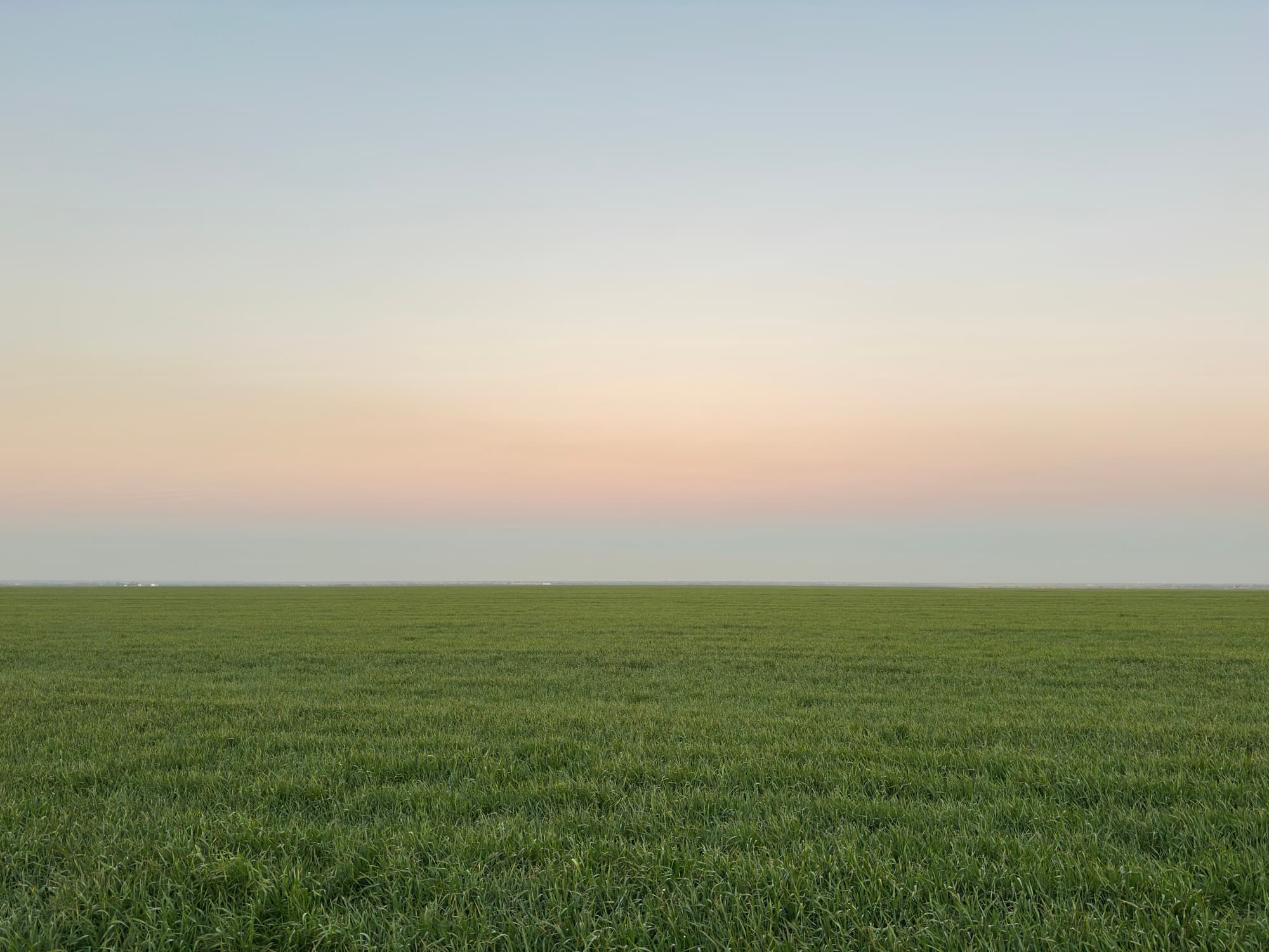 argonia, kansas