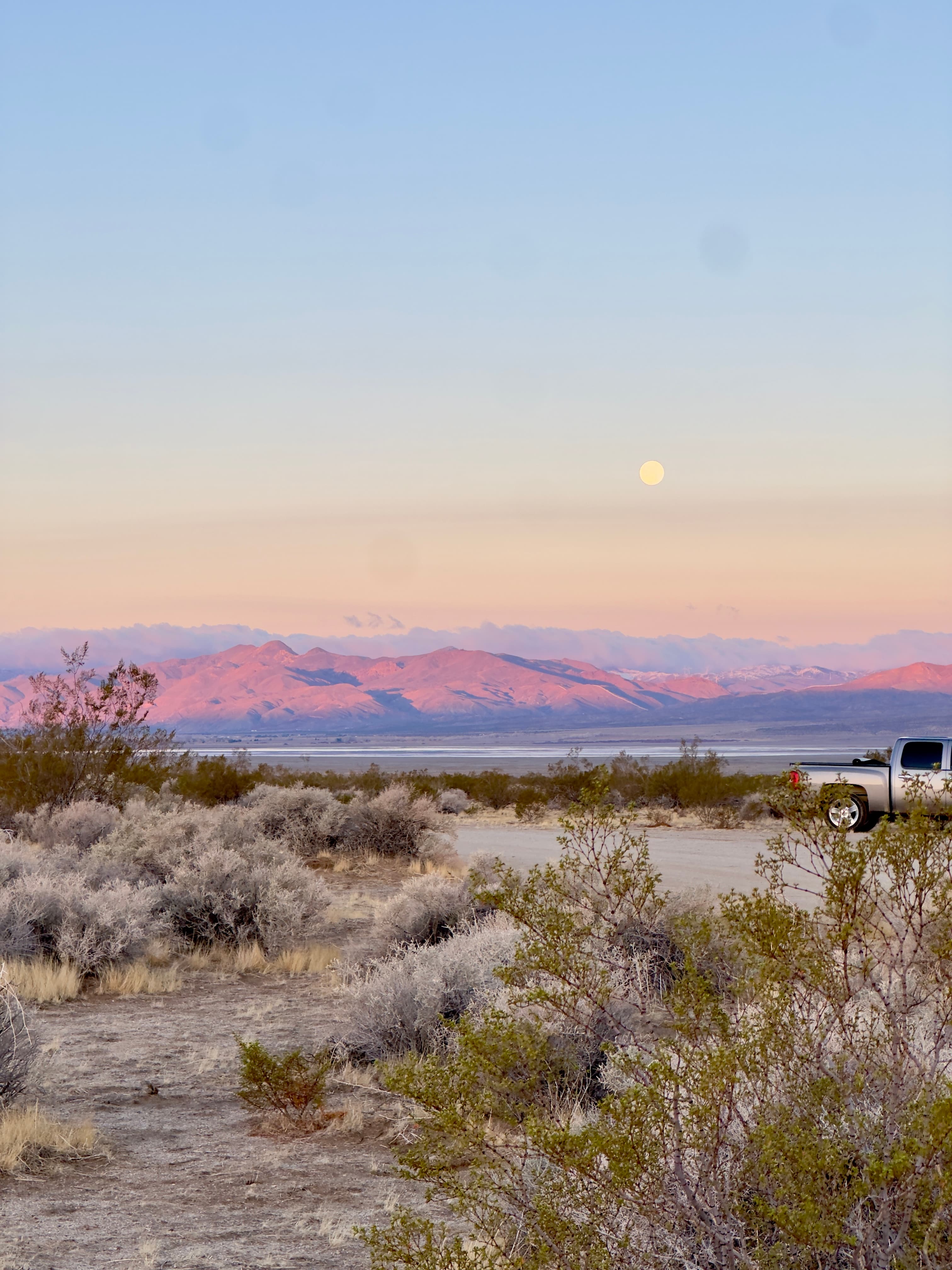 mojave desert, california