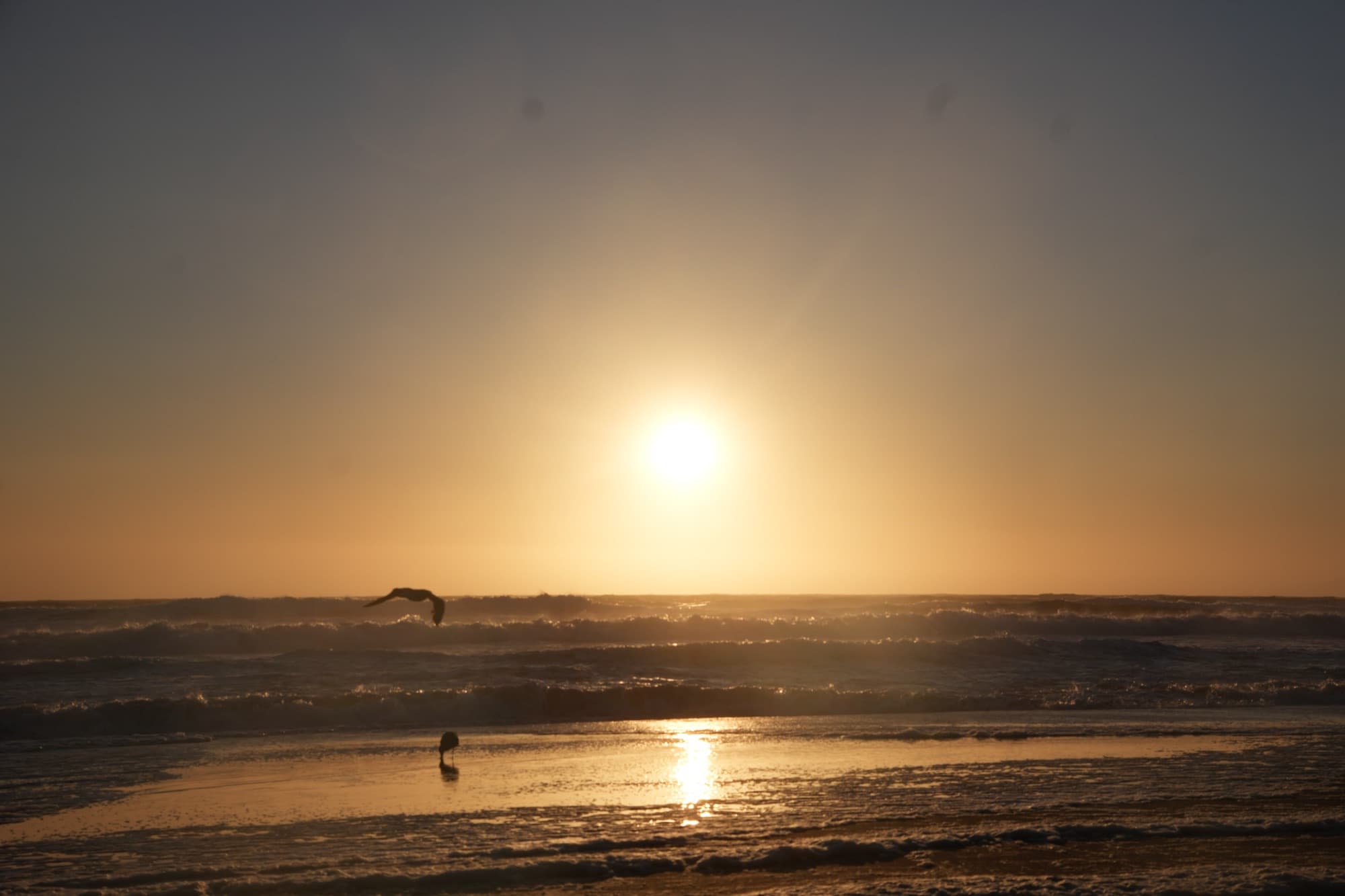 ocean beach, san francisco